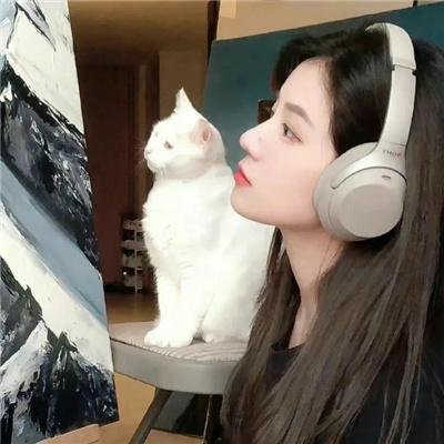 没有真相的内心秘密